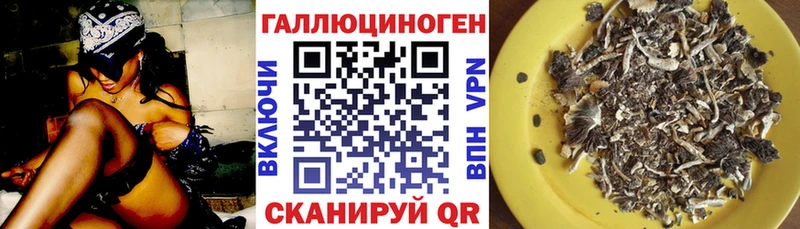 KRAKEN tor  Корсаков  Псилоцибиновые грибы мицелий 